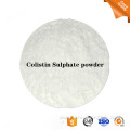 Factory price Colistin Sulphate Premix 5% soluable Powder